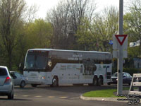 Limocar 878-05-3